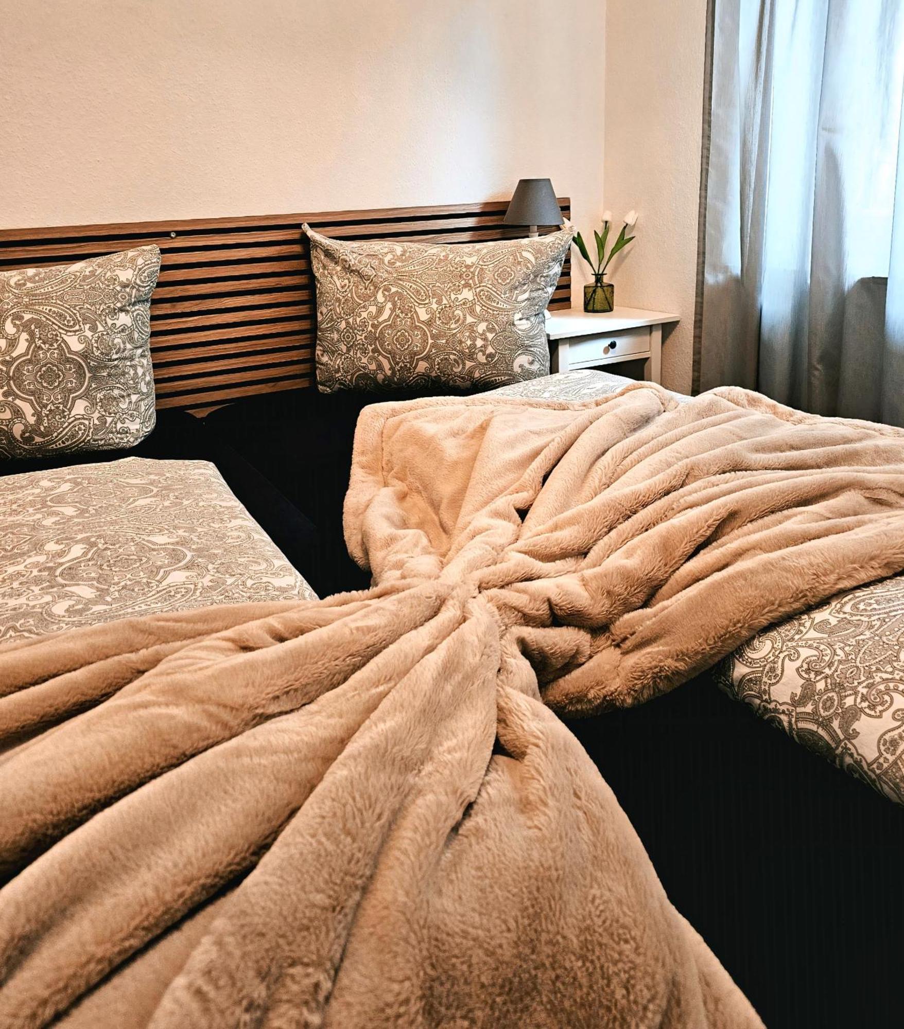 Ferienwohnung Sinsheim Buitenkant foto